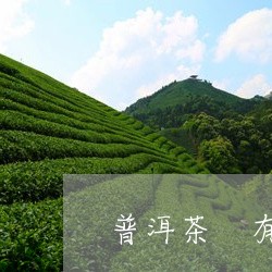 普洱茶 有点刺舌/2023041069482